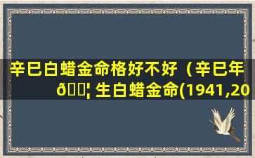 辛巳白蜡金命格好不好（辛巳年 🐦 生白蜡金命(1941,2001)）